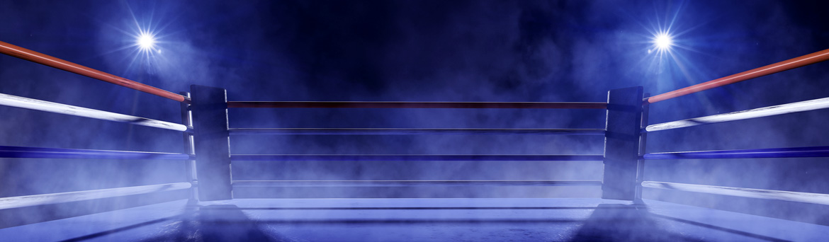 boxing-ring-pro.jpg (1)