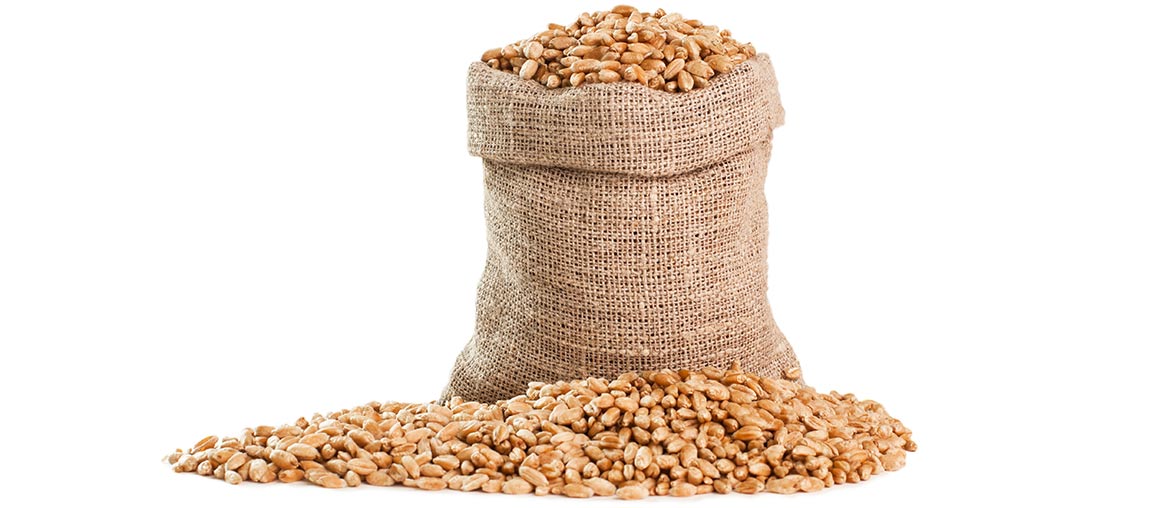 bag-of-grain.jpg (1)