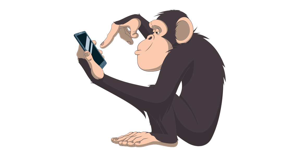 ¡Los Chimpancés Son Mucho Más Listos Que La Mayría de Nosotros!