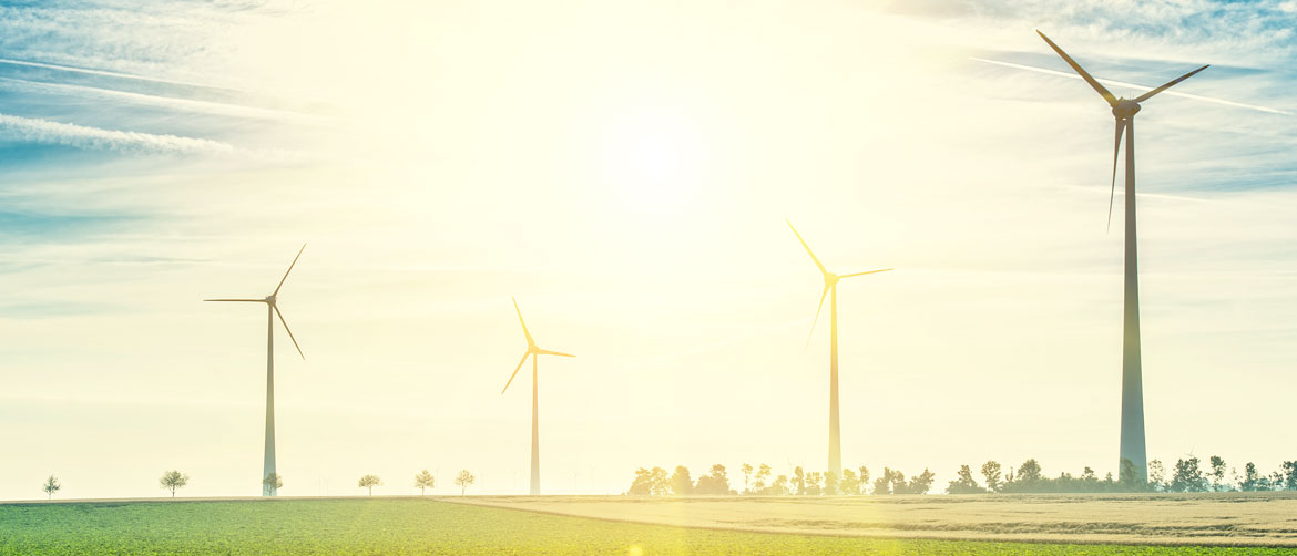Medio Ambiente